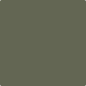 1498: Forest Floor  by Benjamin Moore