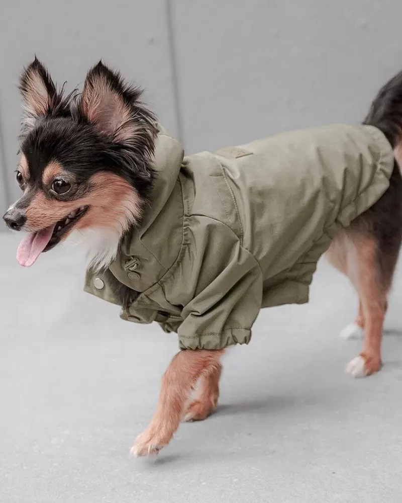 Brooklyn Nylon Water Resistant Dog Jacket (FINAL SALE)