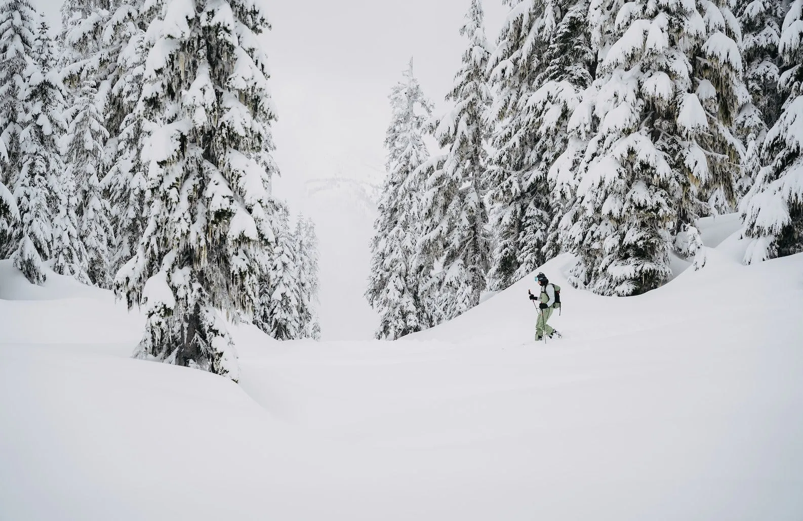 Burton Women's [ak] Baker Down Jacket